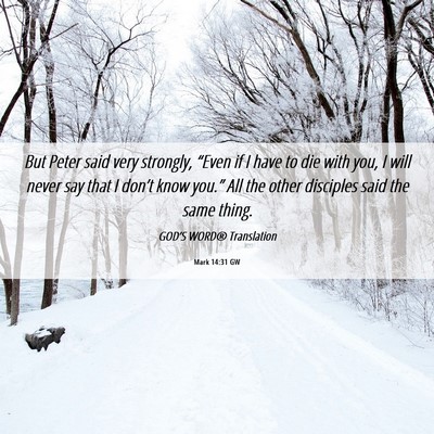 Picture 06 - Mark 14:31 GW - But Peter said very strongly, “Even if I have - Bible Verse Picture