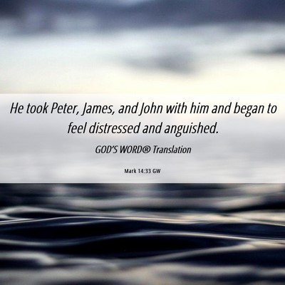 Picture 06 - Mark 14:33 GW - He took Peter, James, and John with him and began - Bible Verse Picture
