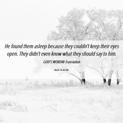 Picture 06 - Mark 14:40 GW - He found them asleep because they couldn’t keep - Bible Verse Picture
