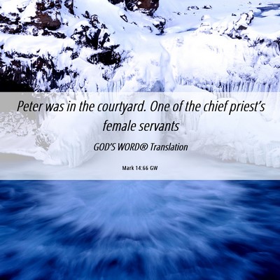 Picture 06 - Mark 14:66 GW - Peter was in the courtyard. One of the chief - Bible Verse Picture