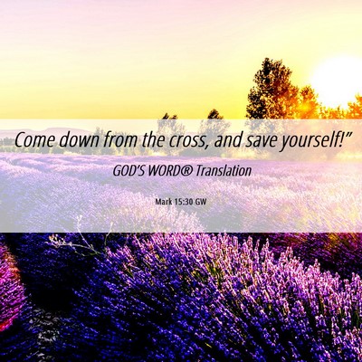 Picture 06 - Mark 15:30 GW - Come down from the cross, and save - Bible Verse Picture