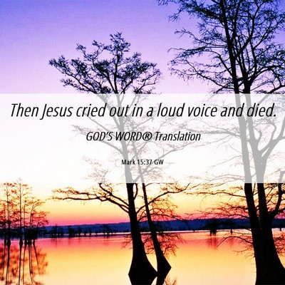 Picture 06 - Mark 15:37 GW - Then Jesus cried out in a loud voice and - Bible Verse Picture