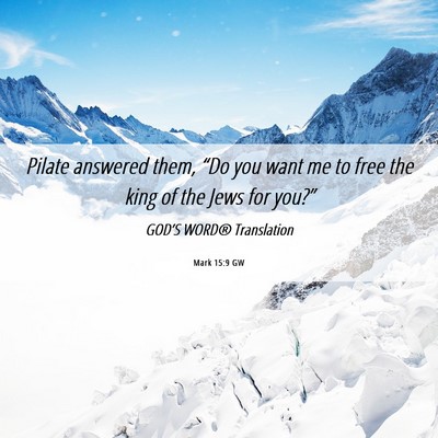 Picture 06 - Mark 15:9 GW - Pilate answered them, “Do you want me to free - Bible Verse Picture