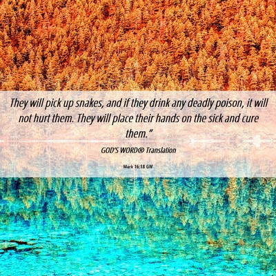 Picture 06 - Mark 16:18 GW - They will pick up snakes, and if they drink any - Bible Verse Picture