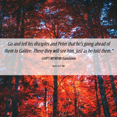 Picture 06 - Mark 16:7 GW - Go and tell his disciples and Peter that he’s - Bible Verse Picture