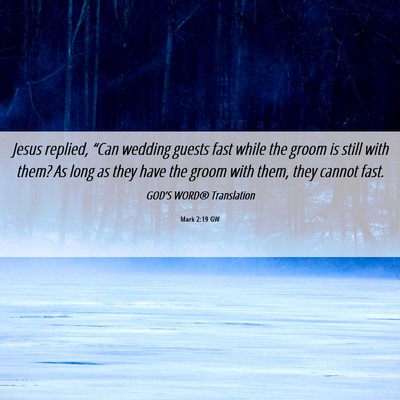 Picture 06 - Mark 2:19 GW - Jesus replied, “Can wedding guests fast while - Bible Verse Picture