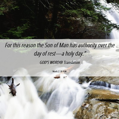 Picture 06 - Mark 2:28 GW - For this reason the Son of Man has authority over - Bible Verse Picture