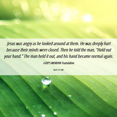 Picture 06 - Mark 3:5 GW - Jesus was angry as he looked around at them. He - Bible Verse Picture