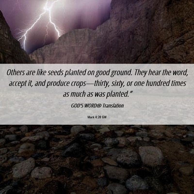 Picture 06 - Mark 4:20 GW - Others are like seeds planted on good ground. - Bible Verse Picture