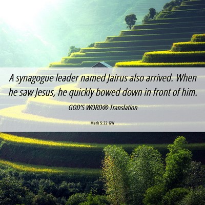 Picture 06 - Mark 5:22 GW - A synagogue leader named Jairus also arrived. - Bible Verse Picture