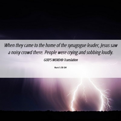 Picture 06 - Mark 5:38 GW - When they came to the home of the synagogue - Bible Verse Picture