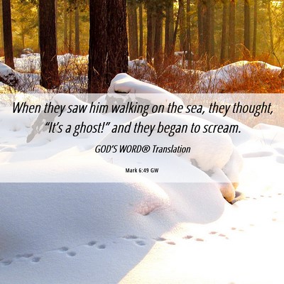 Picture 06 - Mark 6:49 GW - When they saw him walking on the sea, they - Bible Verse Picture