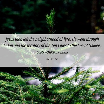 Picture 06 - Mark 7:31 GW - Jesus then left the neighborhood of Tyre. He went - Bible Verse Picture