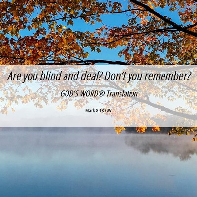 Picture 06 - Mark 8:18 GW - Are you blind and deaf? Don’t you - Bible Verse Picture