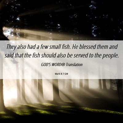 Picture 06 - Mark 8:7 GW - They also had a few small fish. He blessed them - Bible Verse Picture