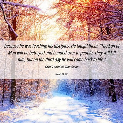Picture 06 - Mark 9:31 GW - because he was teaching his disciples. He taught - Bible Verse Picture