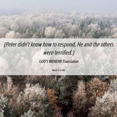 Picture 06 - Mark 9:6 GW - (Peter didn’t know how to respond. He and the - Bible Verse Picture