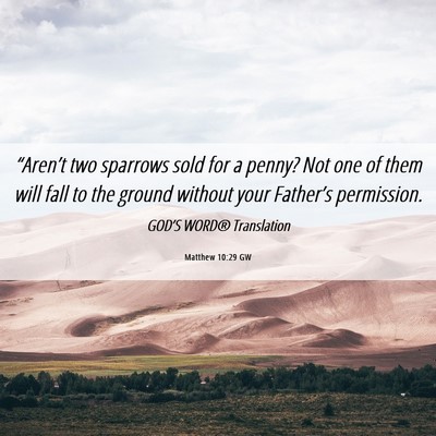 Picture 06 - Matthew 10:29 GW - “Aren’t two sparrows sold for a penny? Not - Bible Verse Picture