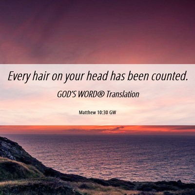 Picture 06 - Matthew 10:30 GW - Every hair on your head has been - Bible Verse Picture