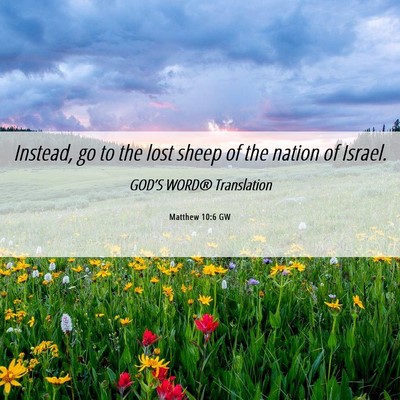 Picture 06 - Matthew 10:6 GW - Instead, go to the lost sheep of the nation of - Bible Verse Picture