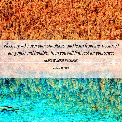 Picture 06 - Matthew 11:29 GW - Place my yoke over your shoulders, and learn from - Bible Verse Picture