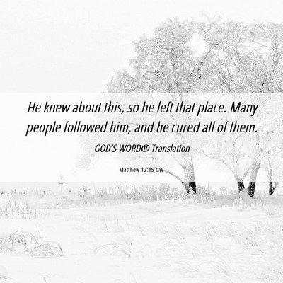 Picture 06 - Matthew 12:15 GW - He knew about this, so he left that place. Many - Bible Verse Picture