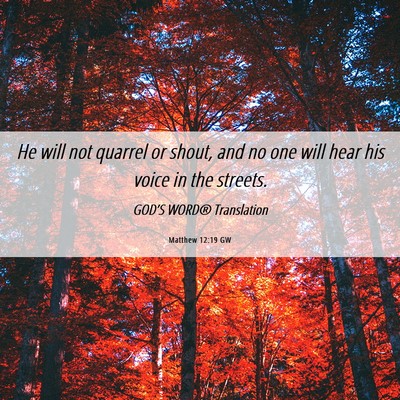 Picture 06 - Matthew 12:19 GW - He will not quarrel or shout, and no one will - Bible Verse Picture