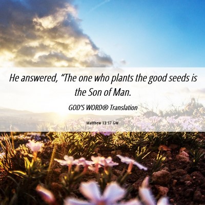 Picture 06 - Matthew 13:37 GW - He answered, “The one who plants the good seeds - Bible Verse Picture