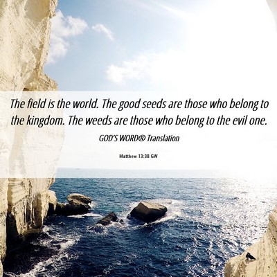 Picture 06 - Matthew 13:38 GW - The field is the world. The good seeds are those - Bible Verse Picture