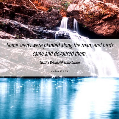 Picture 06 - Matthew 13:4 GW - Some seeds were planted along the road, and birds - Bible Verse Picture