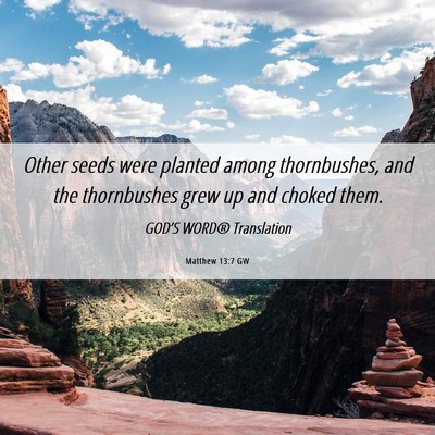 Picture 06 - Matthew 13:7 GW - Other seeds were planted among thornbushes, and - Bible Verse Picture