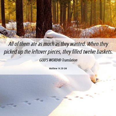 Picture 06 - Matthew 14:20 GW - All of them ate as much as they wanted. When they - Bible Verse Picture