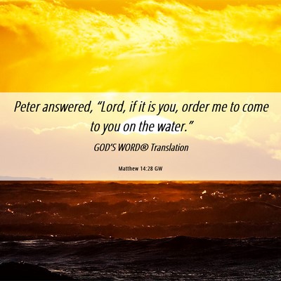 Picture 06 - Matthew 14:28 GW - Peter answered, “Lord, if it is you, order me - Bible Verse Picture