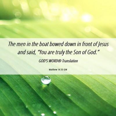 Picture 06 - Matthew 14:33 GW - The men in the boat bowed down in front of Jesus - Bible Verse Picture
