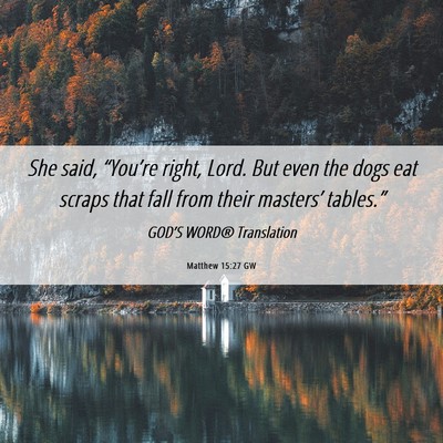 Picture 06 - Matthew 15:27 GW - She said, “You’re right, Lord. But even the - Bible Verse Picture