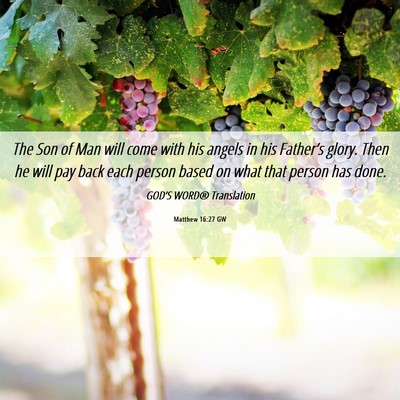 Picture 06 - Matthew 16:27 GW - The Son of Man will come with his angels in his - Bible Verse Picture