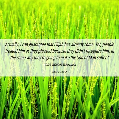 Picture 06 - Matthew 17:12 GW - Actually, I can guarantee that Elijah has already - Bible Verse Picture