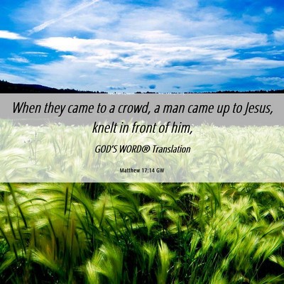 Picture 06 - Matthew 17:14 GW - When they came to a crowd, a man came up to - Bible Verse Picture