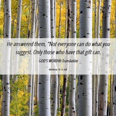 Picture 06 - Matthew 19:11 GW - He answered them, “Not everyone can do what you - Bible Verse Picture
