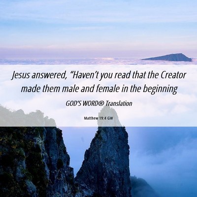 Picture 06 - Matthew 19:4 GW - Jesus answered, “Haven’t you read that the - Bible Verse Picture