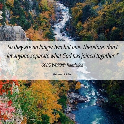 Picture 06 - Matthew 19:6 GW - So they are no longer two but one. Therefore, - Bible Verse Picture