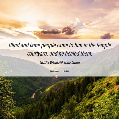 Picture 06 - Matthew 21:14 GW - Blind and lame people came to him in the temple - Bible Verse Picture