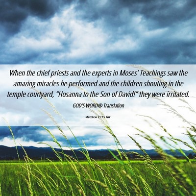 Picture 06 - Matthew 21:15 GW - When the chief priests and the experts in - Bible Verse Picture