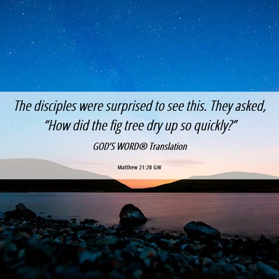 Picture 06 - Matthew 21:20 GW - The disciples were surprised to see this. They - Bible Verse Picture
