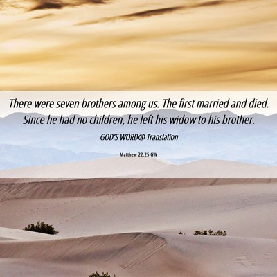 Picture 06 - Matthew 22:25 GW - There were seven brothers among us. The first - Bible Verse Picture