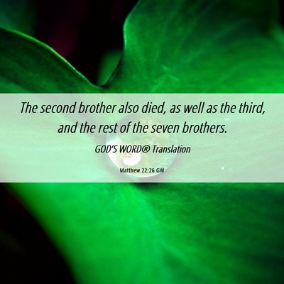 Picture 06 - Matthew 22:26 GW - The second brother also died, as well as the - Bible Verse Picture