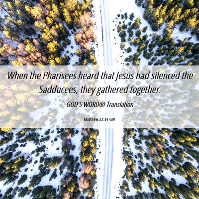 Picture 06 - Matthew 22:34 GW - When the Pharisees heard that Jesus had silenced - Bible Verse Picture