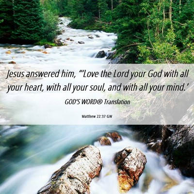 Picture 06 - Matthew 22:37 GW - Jesus answered him, “‘Love the Lord your God - Bible Verse Picture