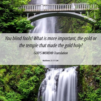 Picture 06 - Matthew 23:17 GW - You blind fools! What is more important, the gold - Bible Verse Picture