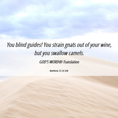 Picture 06 - Matthew 23:24 GW - You blind guides! You strain gnats out of your - Bible Verse Picture